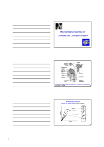 1 Mechanical properties of Cortical and Cancellous Bone