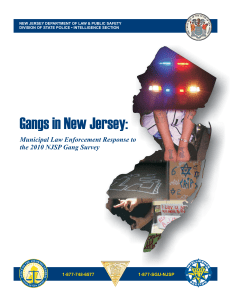 2010 NJSP Gang Survey - New Jersey State Police