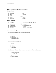 Medical Terminology (Prefixes and Suffixes)