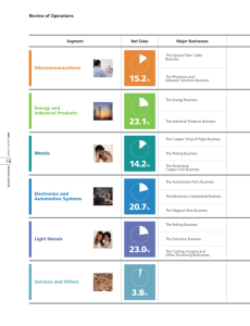 ANNUAL REPORT 2006