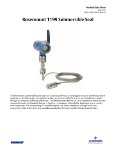 Rosemount 1199 Submersible Seal