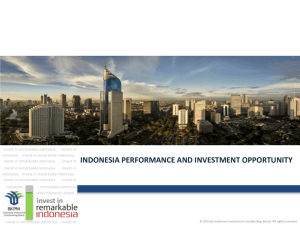 indonesia performance and investment opportunity