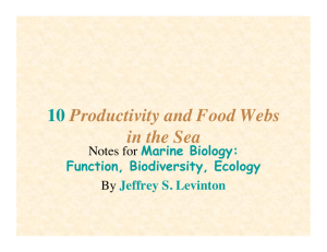 10 Productivity and Food Webs in the Sea