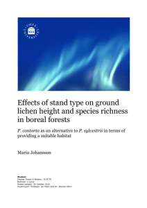 Effects of stand type on ground lichen height and species