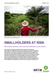 Smallholders at Risk: Monoculture expansion, land