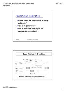 Regulation of Respiration