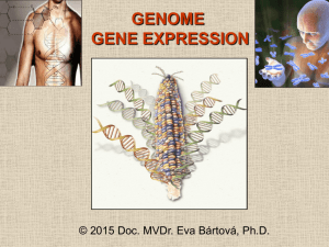 GENOME GENE EXPRESSION