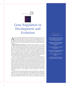 Gene Regulation in Development and Evolution