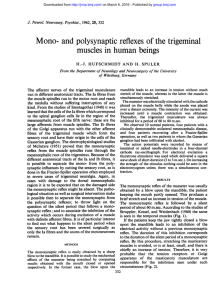 and polysynaptic reflexes of the trigeminal muscles in human beings