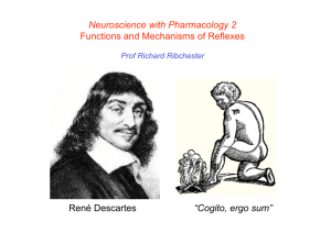 Lecture 1: Functions and Mechanisms of Reflexes