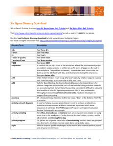 Silicon Beach Training Six Sigma Glossary