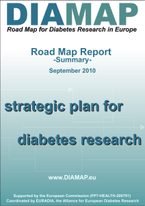 strategic plan for diabetes research