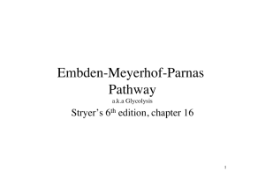 Embden-Meyerhof-Parnas Pathway