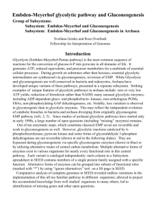 Embden-Meyerhof glycolytic pathway and Gluconeogenesis