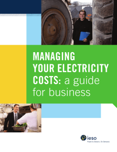 MANAGING YOUR ELECTRICITY COSTS: a guide for business