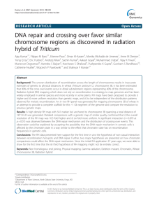 DNA repair and crossing over favor similar chromosome regions as
