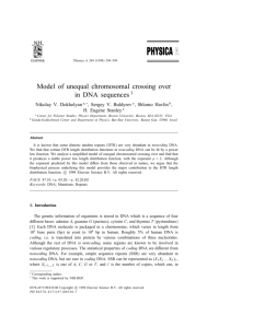 Model of unequal chromosomal crossing over in DNA sequences1