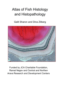 Atlas of Fish Histology and Histopathology
