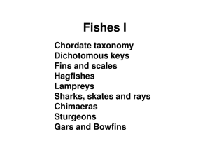 Fishes I