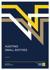 auditing small entities