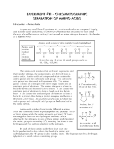 Experiment #11 – Chromatographic Separation of Amino Acids