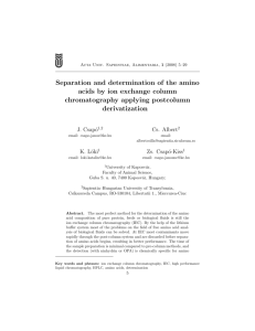 Separation and determination of the amino acids by ion exchange