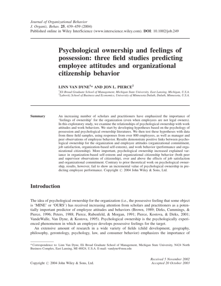 psychological ownership literature review