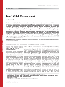 Day1 chick development