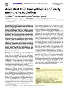Ancestral lipid biosynthesis and early membrane evolution