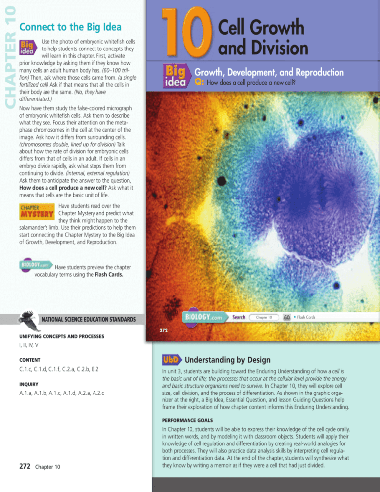 Biology 10 4 Cell Differentiation Worksheet Answers Studying Worksheets