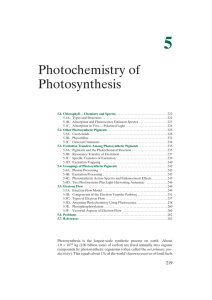 Photochemistry of Photosynthesis