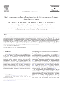 Body temperature daily rhythm adaptations in African savanna