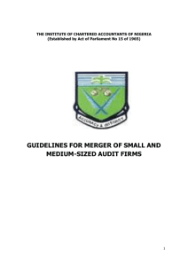 guidelines for merger of small and medium