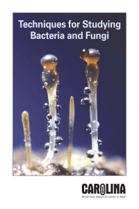 Techniques for Studying Bacteria and Fungi