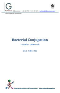 Bacterial Conjugation - G