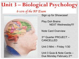 Unit 3 - Biological Psychology