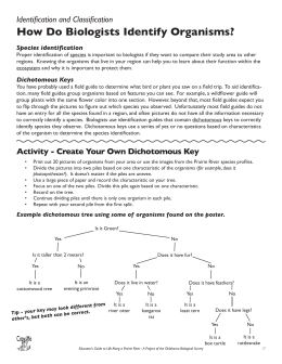 Dichotomous Key Lab Answer Sheet