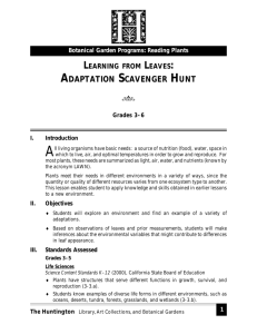 Adaptation Scavenger Hunt