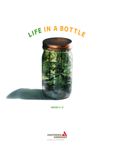 Life in a bottle