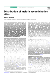 Distribution of meiotic recombination sites