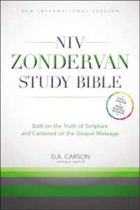 NEW INTERNATIONAL VERSION - NIV Zondervan Study Bible