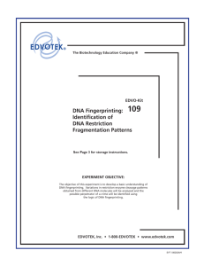 DNA Fingerprinting: Identification of DNA Restriction Fragmentation