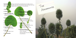 The Archanoids Booklet