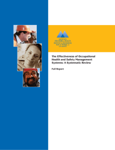 Occupational Health and Safety Management Audit Instruments: A