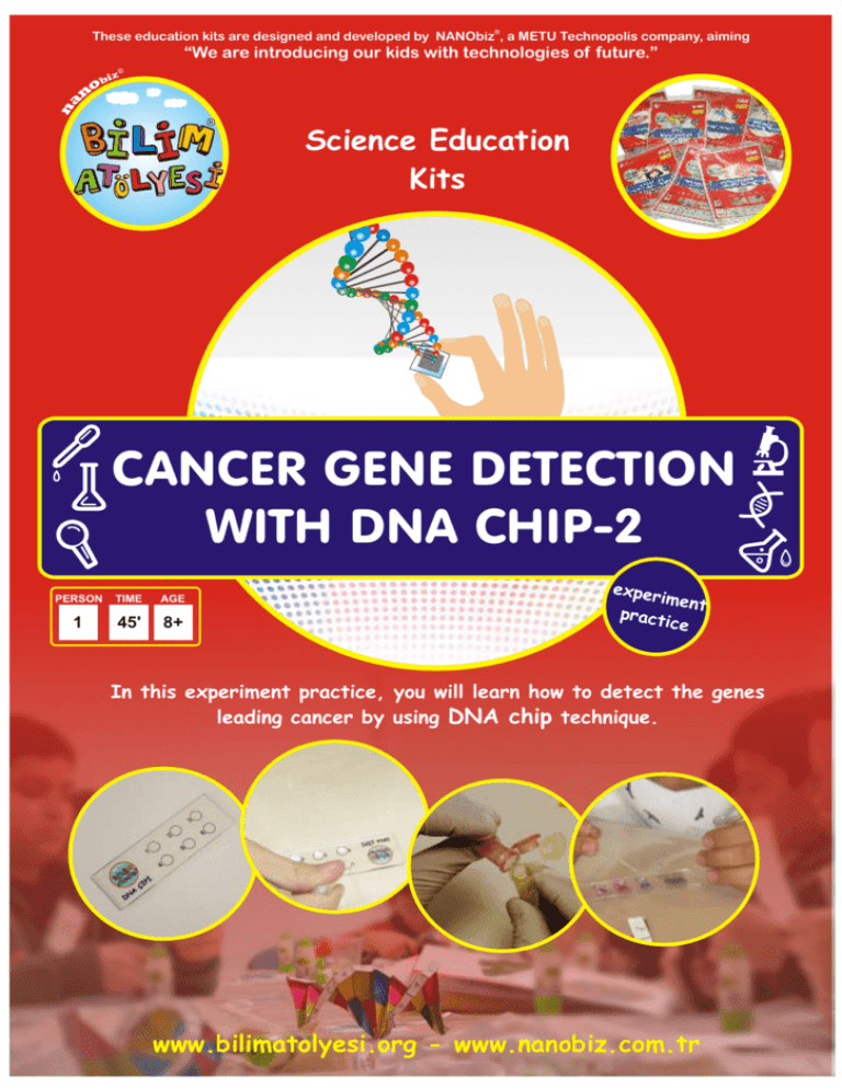 Cancer Gene Detection With Dna Chip 2