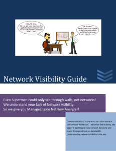 Network Visibility Guide