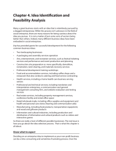 Idea Identification and Feasibility Analysis