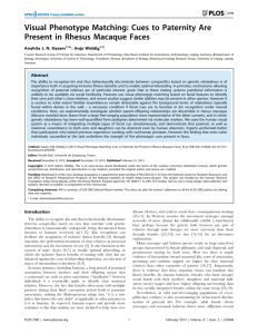 Visual Phenotype Matching - Max Planck Institute for Evolutionary