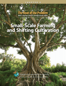 Small-Scale Farming and Shifting Cultivation