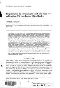 Regeneration by sprouting in slash and burn rice cultivation, Taï rain